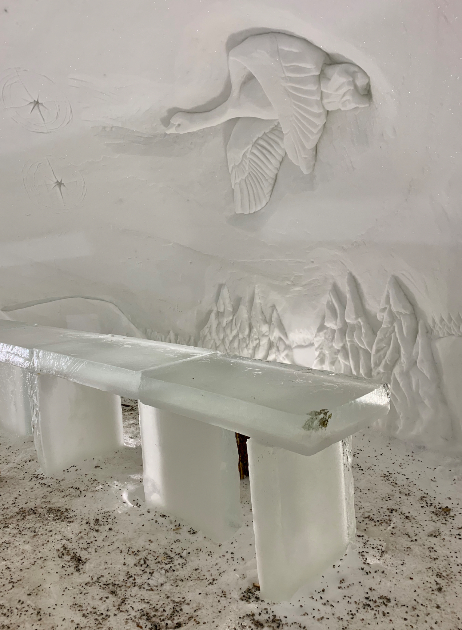Ice bar and restuarant inside 1